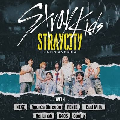 STRAYCITY